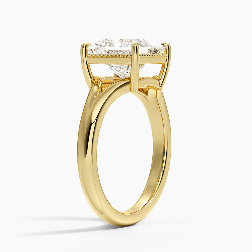 Cora Split Shank Solitaire Ring - Princess Cut Center Stone