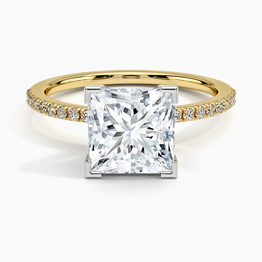 Ballad Half Coverage Diamond Ring (1/8 ct. tw.) - Princess Cut Center Stone