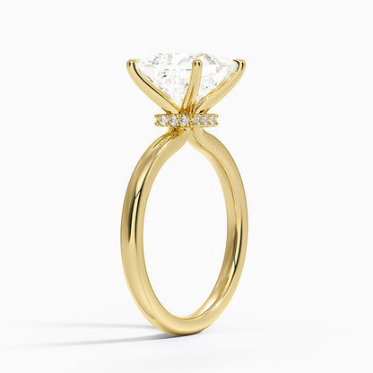 Secret Halo 2mm Diamond Ring - Princess Cut Center Stone