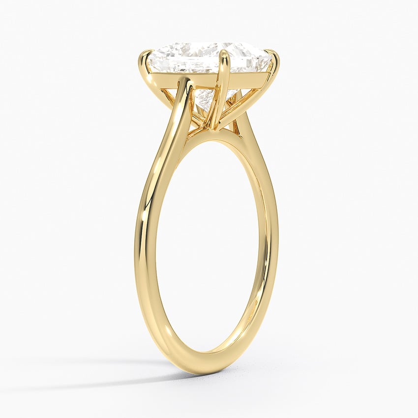1.4mm Provence Solitaire Ring - Princess Cut Center Stone