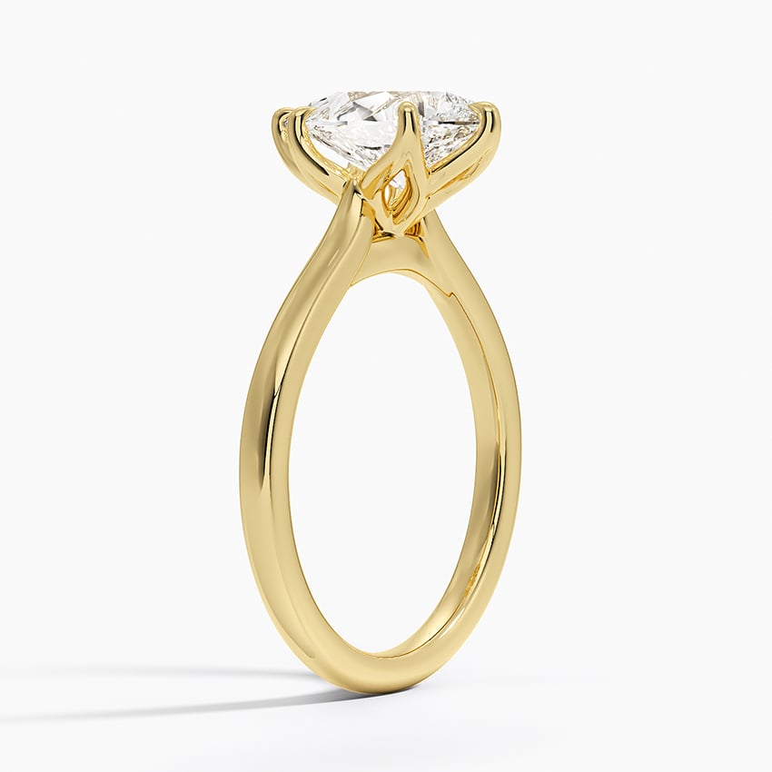Elodie Cathedral Solitaire Ring - Pear Center Stone