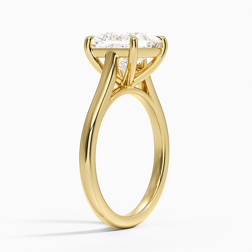 2mm Provence Solitaire Ring - Princess Cut Center Stone