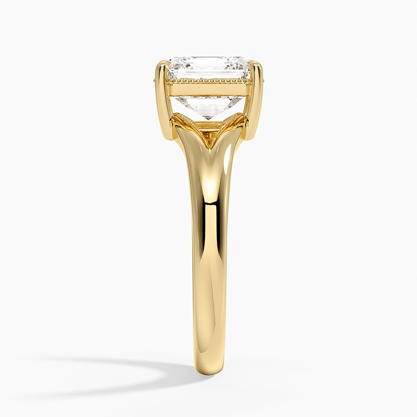 Cora Split Shank Solitaire Ring - Asscher Cut Center Stone
