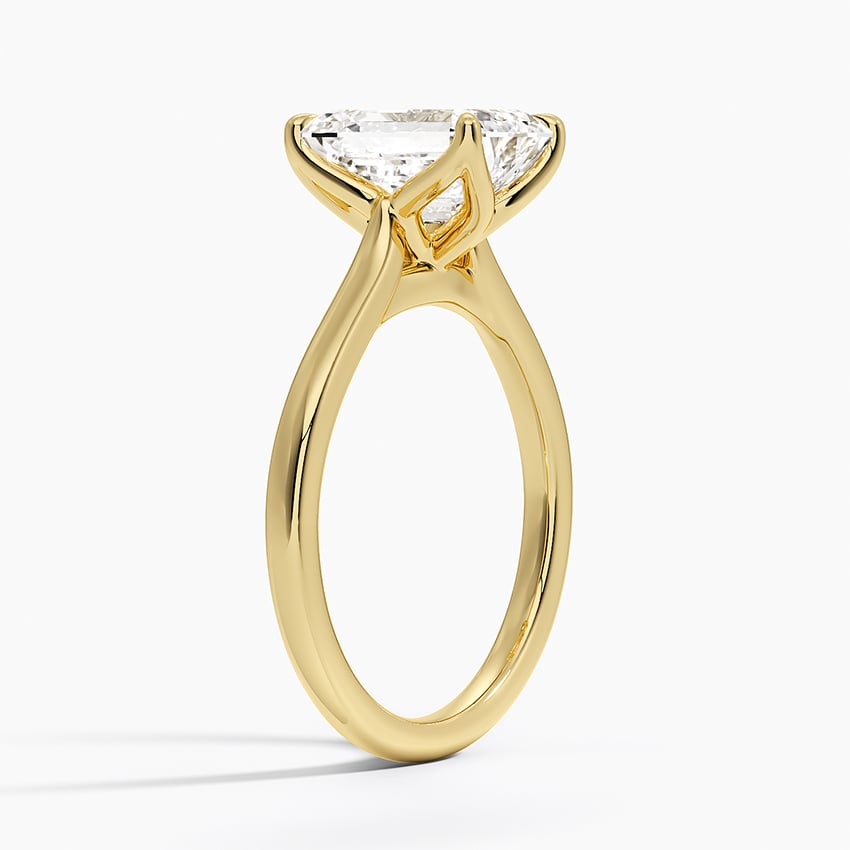 Elodie Cathedral Solitaire Ring - Emerald Cut Center Stone
