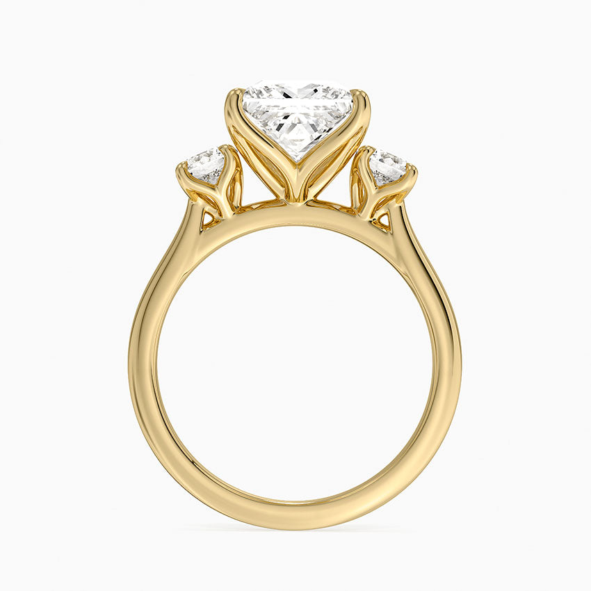 Elodie Perfect Fit Three Stone Diamond Ring (1/2 ct. tw.) - Princess Cut Center Stone