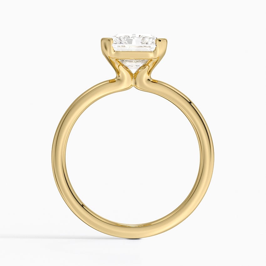 Annika Semi-Bezel Solitaire Ring - Radiant Cut Center Stone