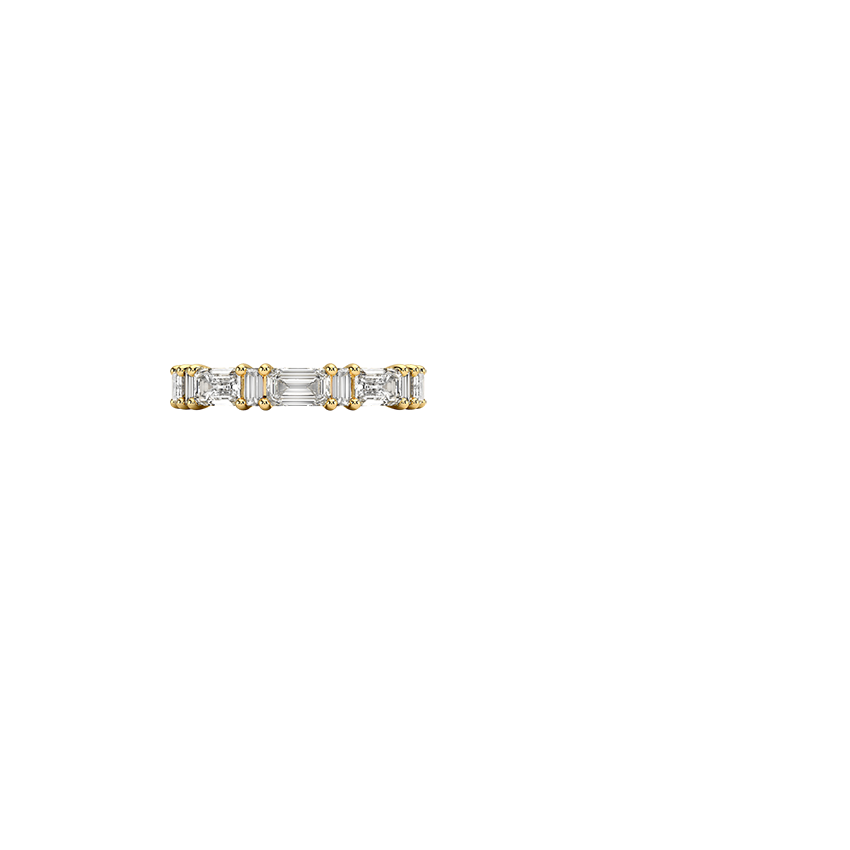 Frances Eternity Lab Diamond Ring