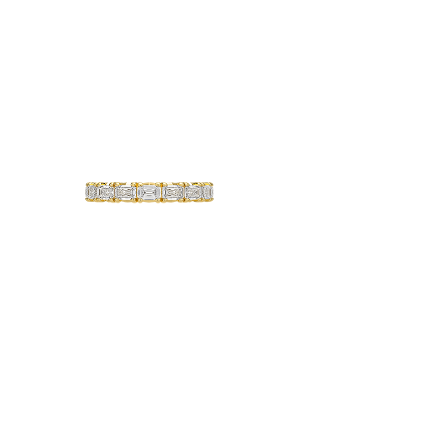 Nathalie Emerald Cut Eternity Lab Diamond Ring (2 ct. tw.)