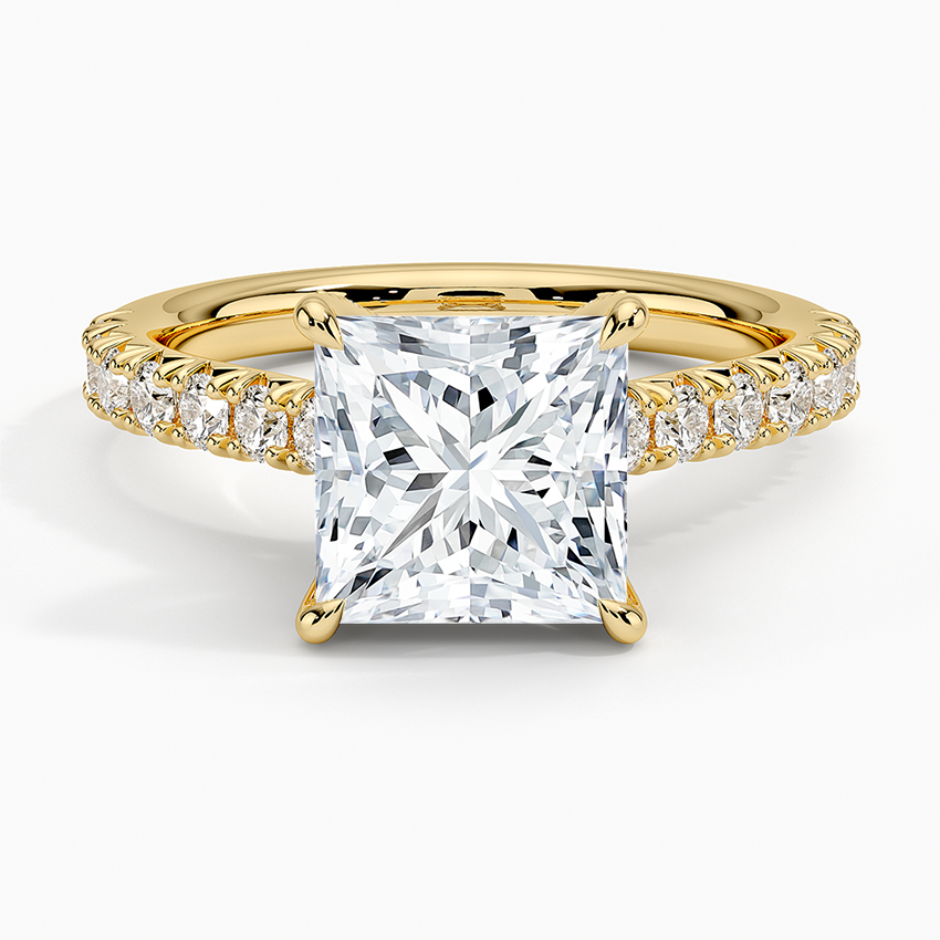 Sienna Half Coverage Hidden Accents Diamond Ring (1/2 ct. tw.) - Princess Cut Center Stone