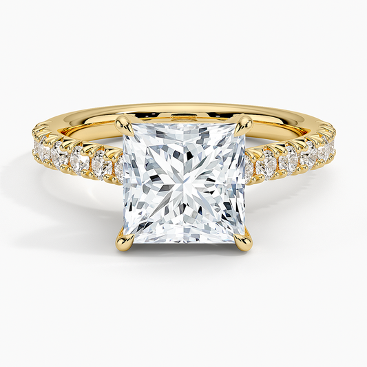 Sienna Half Coverage Hidden Accents Diamond Ring (1/2 ct. tw.) - Princess Cut Center Stone