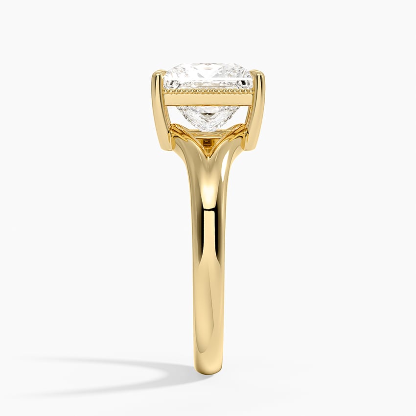 Cora Split Shank Solitaire Ring - Princess Cut Center Stone