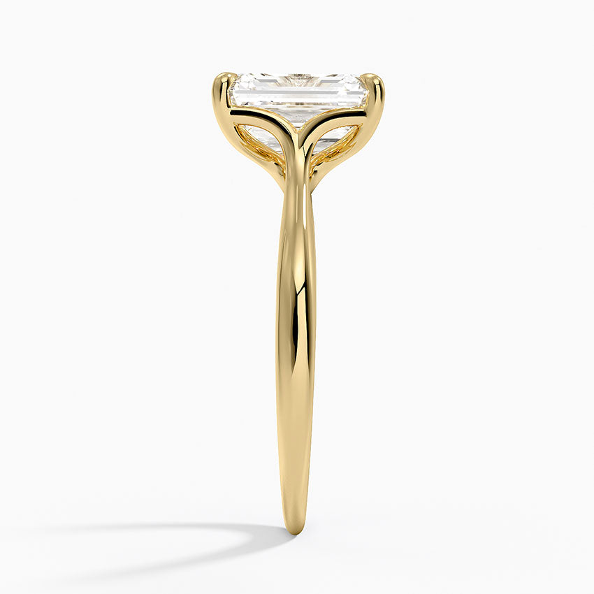 Freesia Cathedral Solitaire Ring - Emerald Cut Center Stone