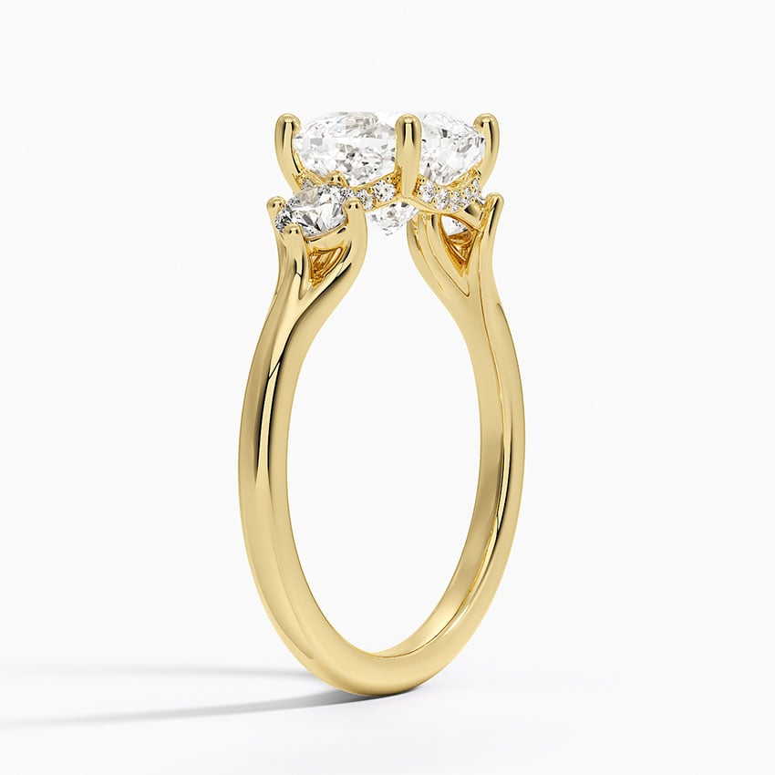 Luxe Floating Three Stone Diamond Ring (1/3 ct. tw.) - Cushion Cut Center Stone