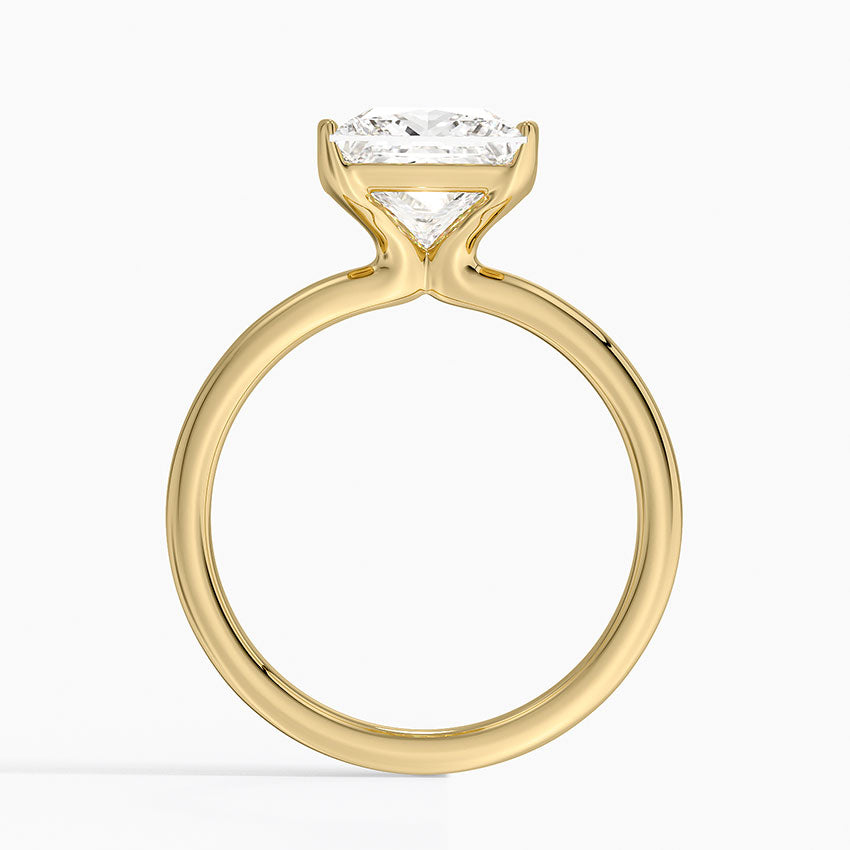 Annika Semi-Bezel Solitaire Ring - Princess Cut Center Stone