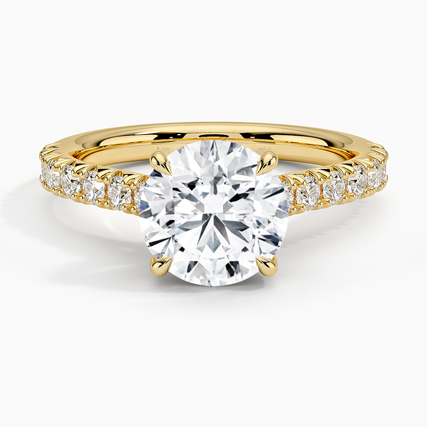 Sienna Half Coverage Hidden Accents Diamond Ring (1/2 ct. tw.) - Round Cut Center Stone