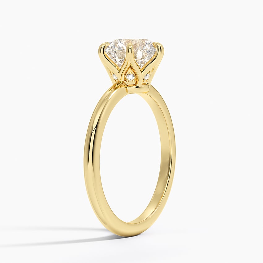 Esme Hidden Halo Diamond Ring - Round Center Stone