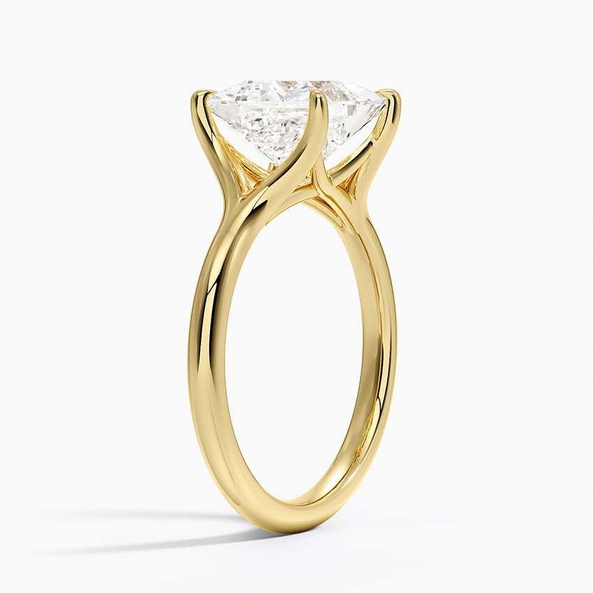 Reverie Solitaire Ring - Princess Cut Center Stone