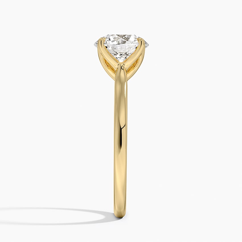 Elodie Cathedral Solitaire Ring - Round Center Stone